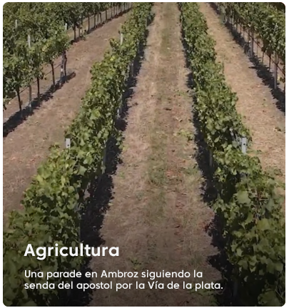 Agricultura