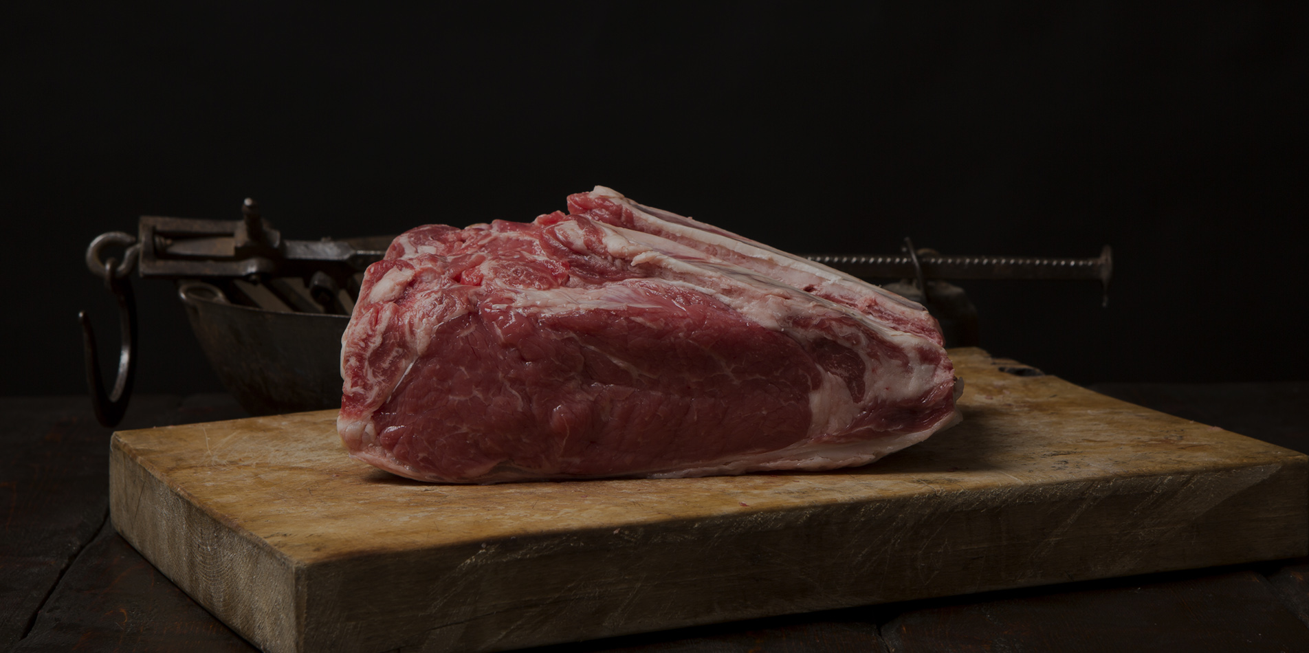 tajadura-progreso-head